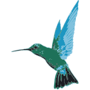 Caribbean Airlines